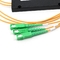 Divisor de la fibra óptica del ABS G657 de FTTH, pérdida de vuelta del divisor 50dB del Plc 1x32